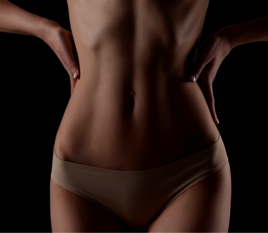 Model showing stomach off